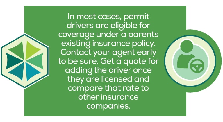 permit drivers need auto insurance
