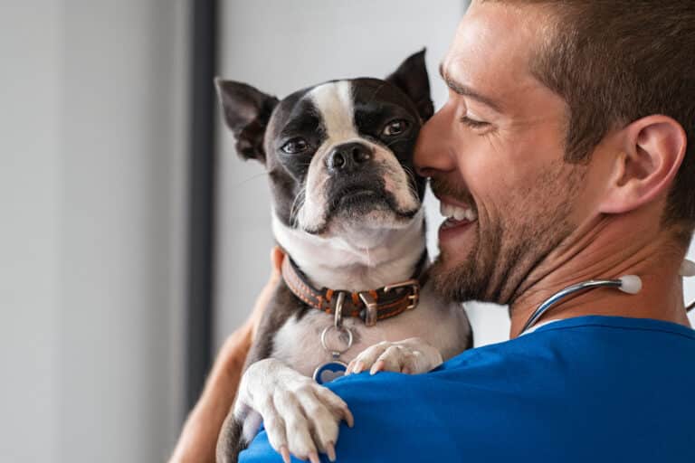Young vet carrying and playing with little dog after treatment.
