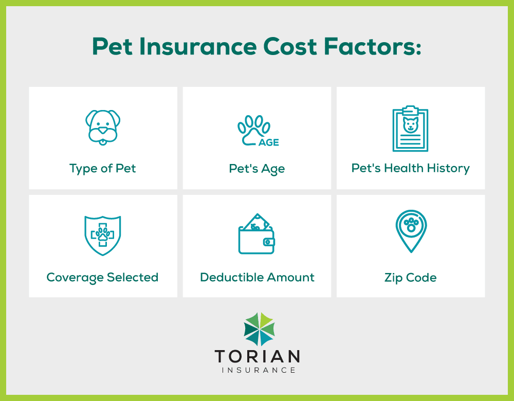 Pet insurance cost factors