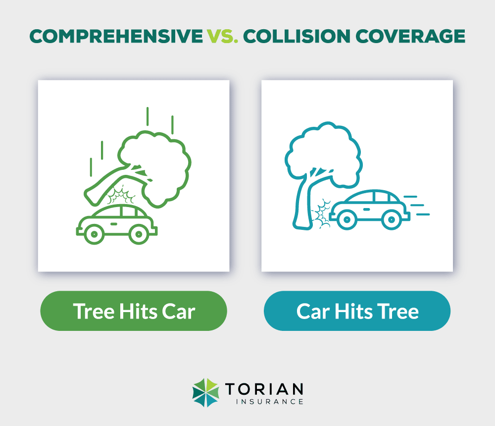 comprehensive vs. collision insurance coverage visual showing a tree hitting a car for comprehensive and a car hitting a tree for collision