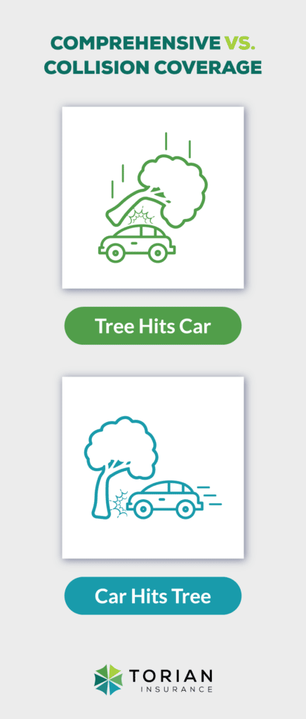 comprehensive vs. collision insurance coverage visual showing a tree hitting a car for comprehensive and a car hitting a tree for collision