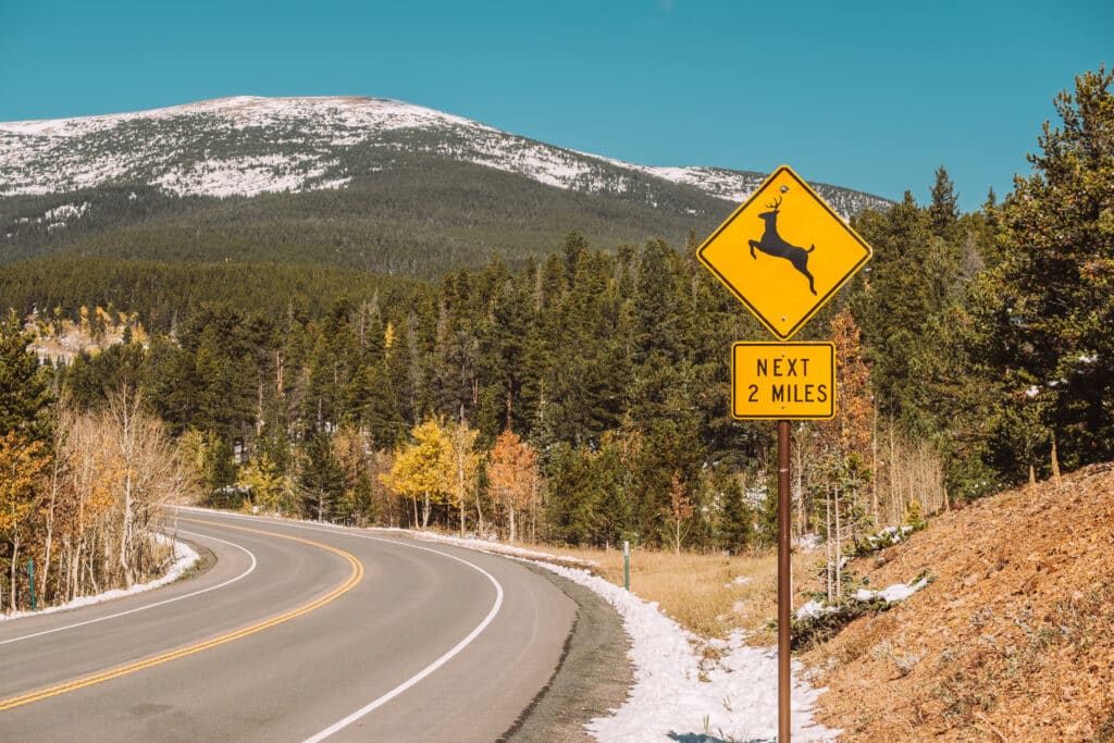 Comprehensive insurance concept with a deer crossing sign on highway at autumn sunny day with mountainous landscape in the background