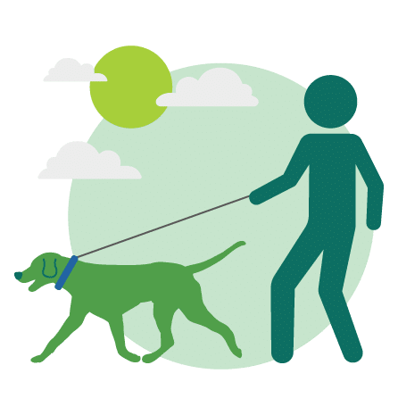 pet insurance at Torian Insurance