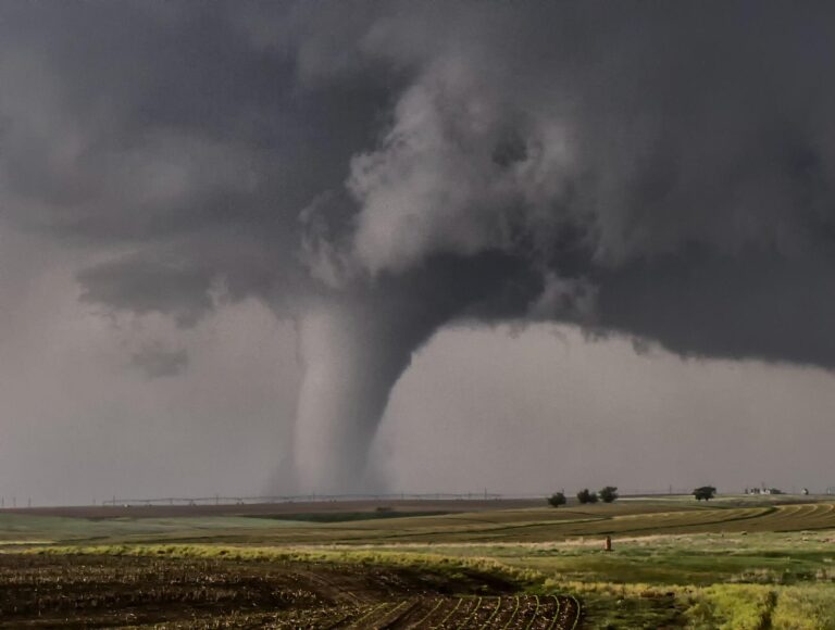 Tornado forming in open field, showcasing natures power and intensity.