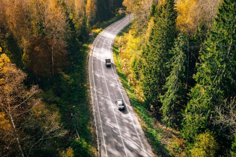 Scenic autumn road winding through vibrant forests with colorful foliage.