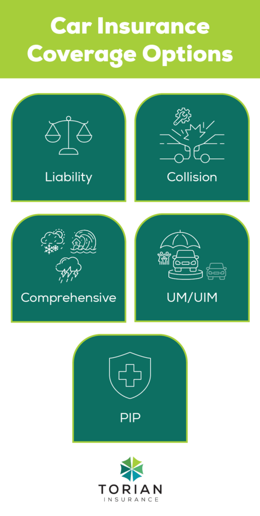 Explore essential car insurance coverage options: liability, collision, comprehensive, UM/UIM, and PIP.