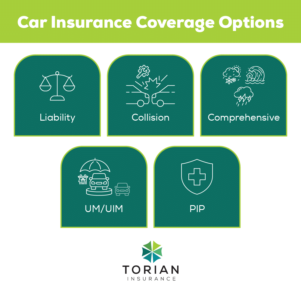 Explore essential car insurance coverage options: Liability, Collision, Comprehensive, UM/UIM, and PIP.