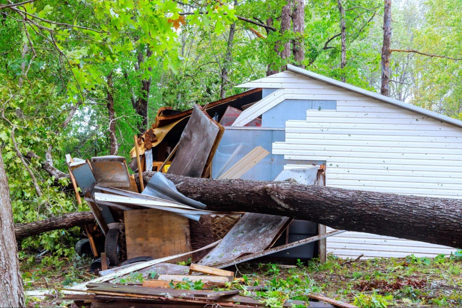 Damaged shed with fallen tree, showcasing storm destruction and debris.
